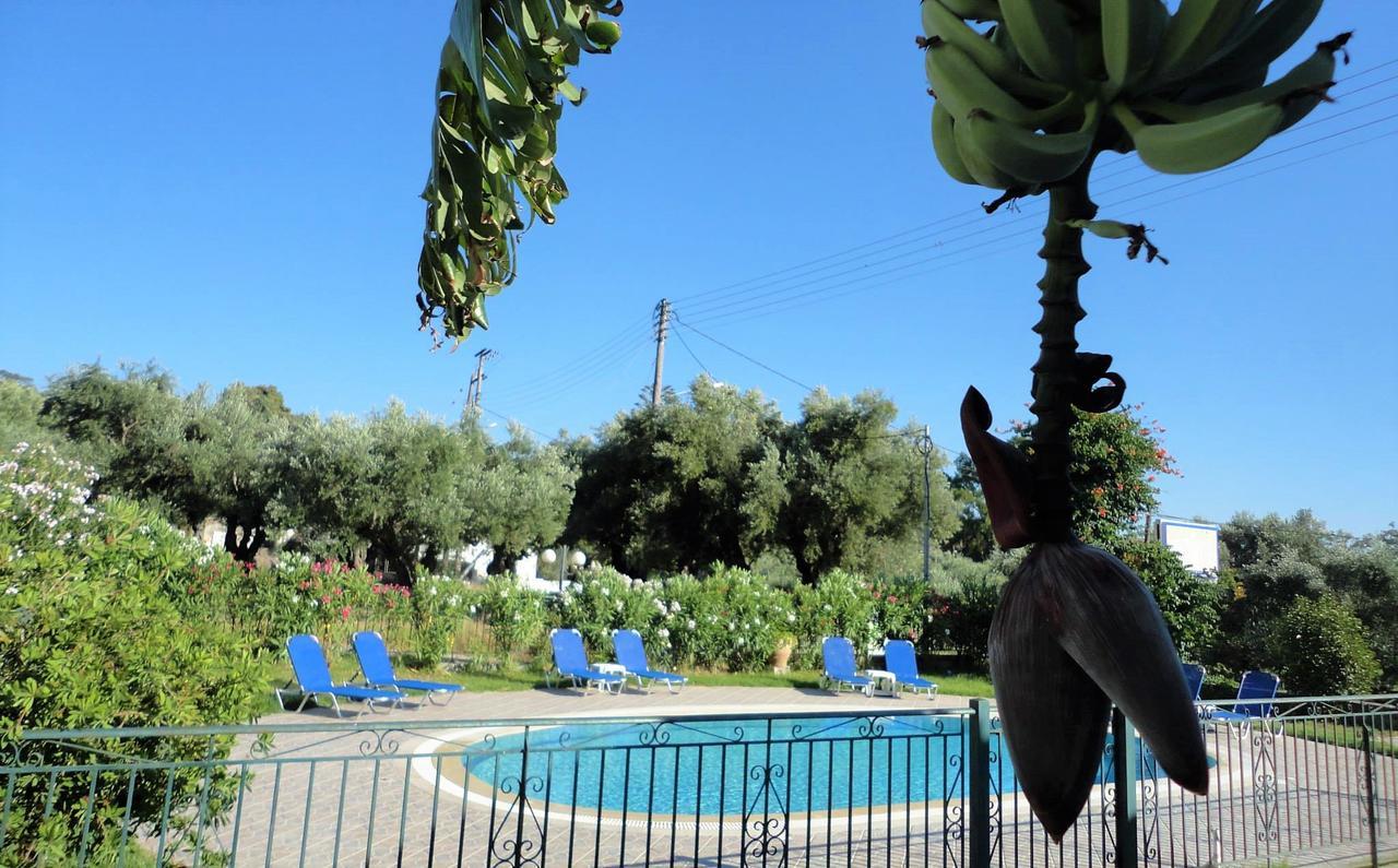 مدينة زاكينثوس Tonia Apartments المظهر الخارجي الصورة